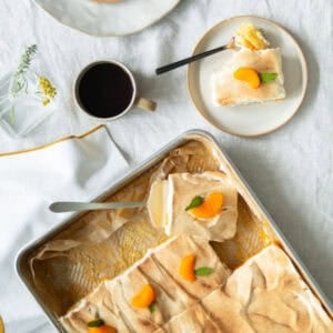 Orange cake with mandarin oranges in a cake pan with a cup of coffee.