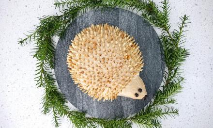 Igelkuchen: German Hedgehog Cake