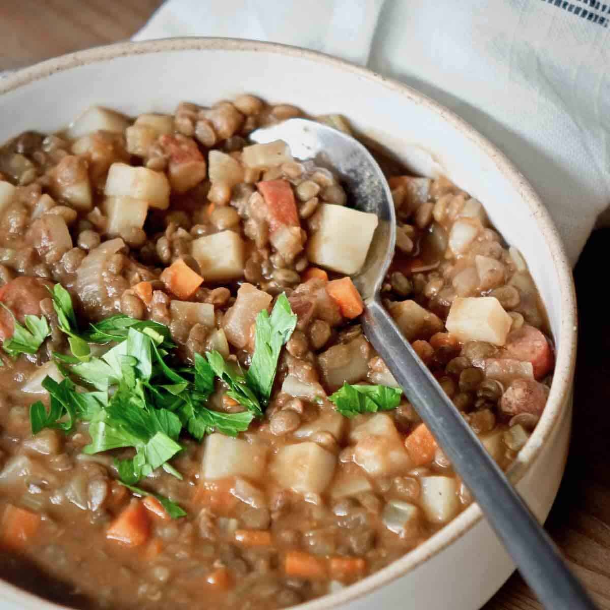 can dogs eat lentil soup