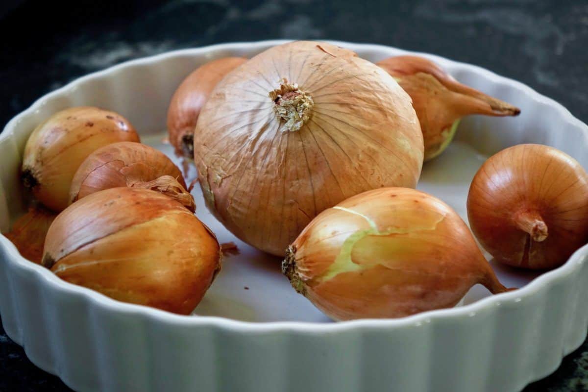 Zwiebelkuchen German Onion Pie Recipe Dirndl Kitchen