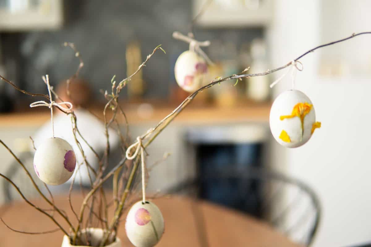 Closeup of decorated eggs hanging from branches.