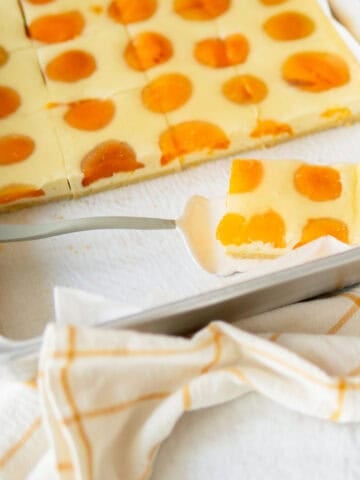 German cheesecake with apricots on a sheet pan.
