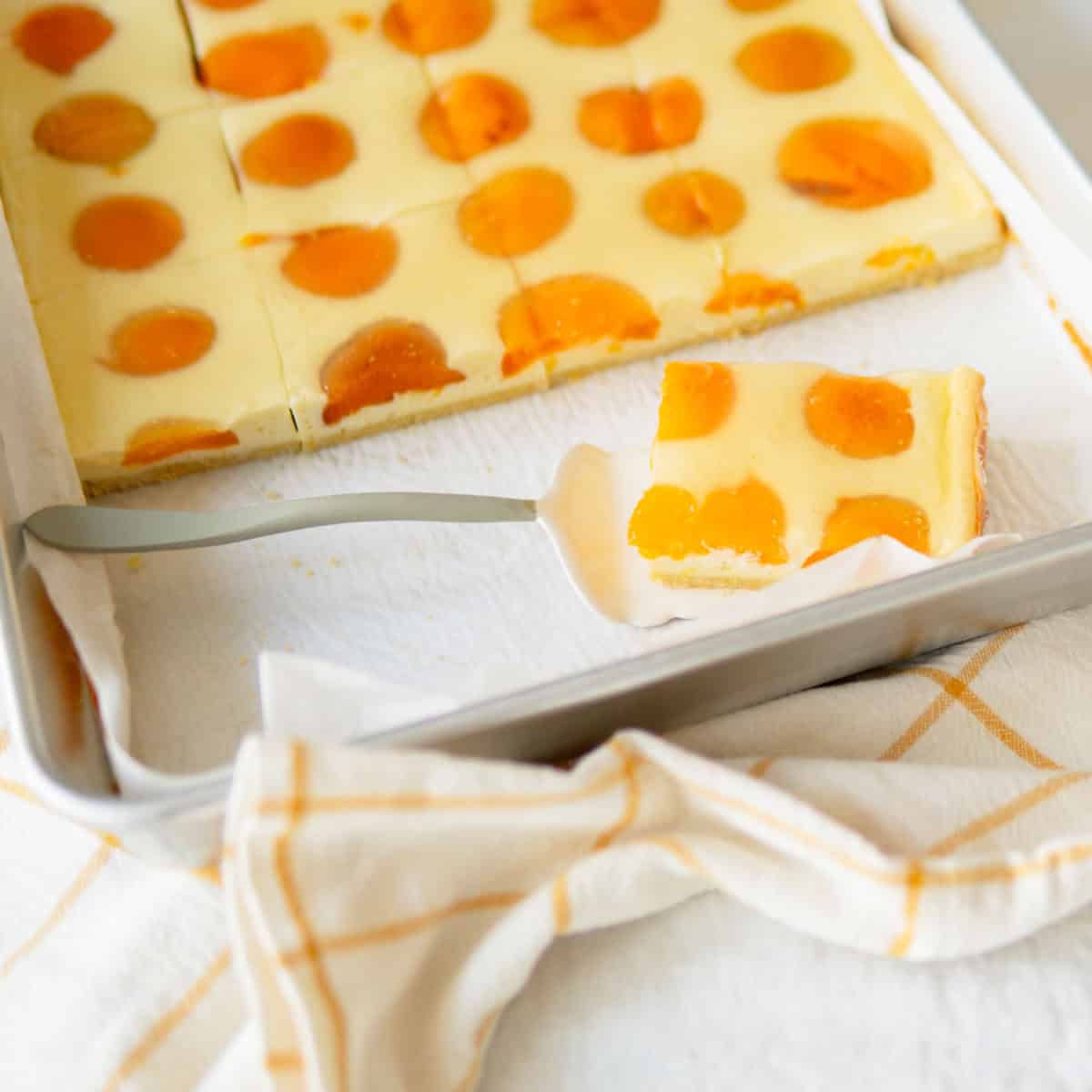 German Cheesecake with Apricots Recipe