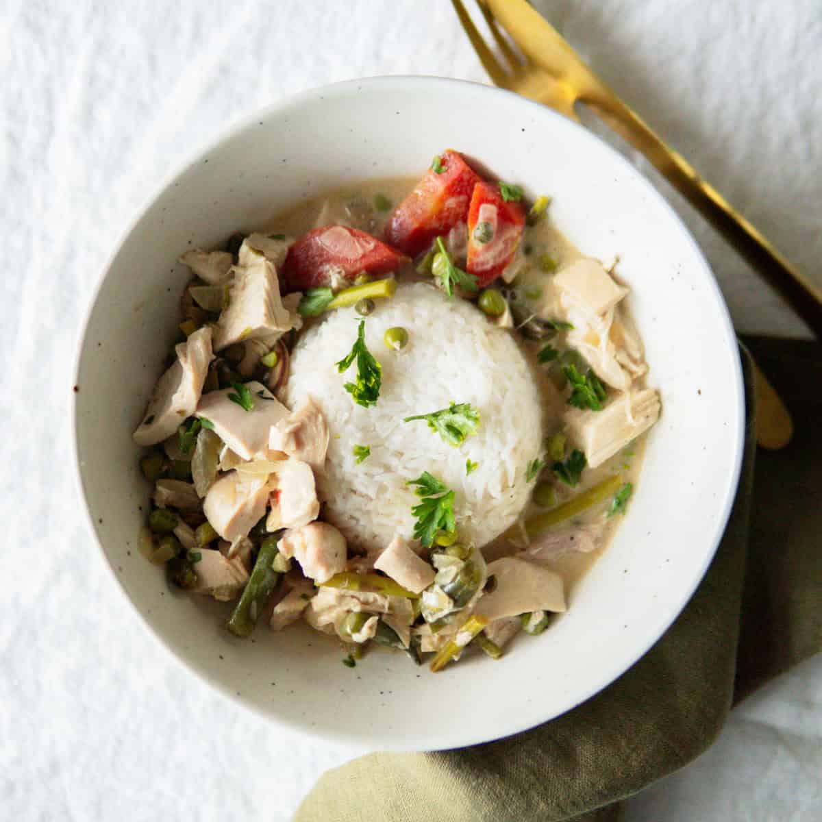 German stewed veggies and chicken over rice in a bowl.